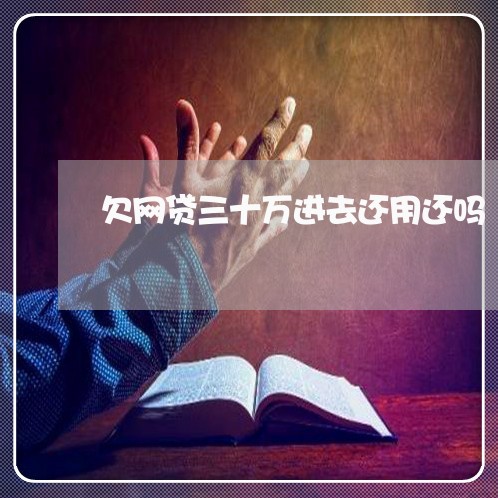 欠网贷三十万进去还用还吗 欠网贷三十万进去还用还吗
