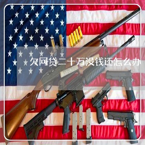 欠网贷二十万没钱还怎么办 欠网贷二十万没钱还怎么办