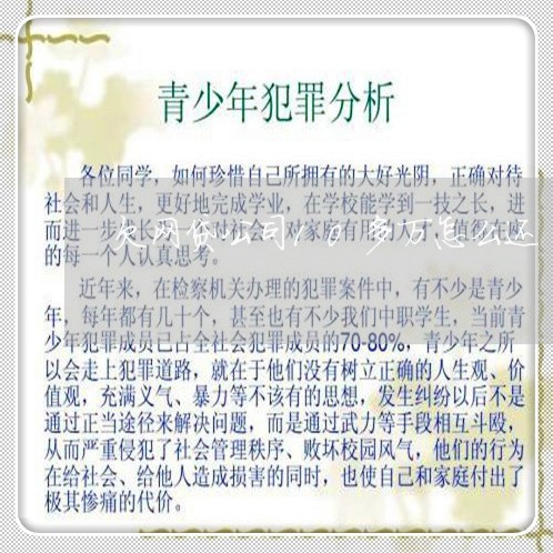欠网贷公司10多万怎么还