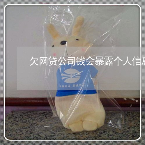 欠网贷公司钱会暴露个人信息么