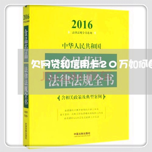 欠网贷和信用卡20万如何自救/2023020496702