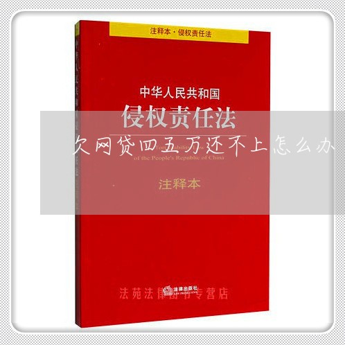 欠网贷四五万还不上怎么办 欠网贷四五万还不上怎么办