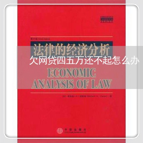 欠网贷四五万还不起怎么办 欠网贷四五万还不起怎么办