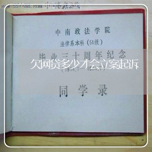 欠网贷多少才会立案起诉/2023112429160