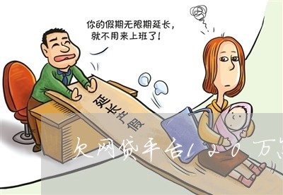 欠网贷平台120万怎么办 欠网贷平台120万怎么办