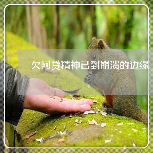 欠网贷精神已到崩溃的边缘 欠网贷精神已到崩溃的边缘