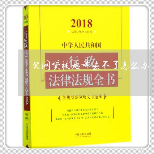欠网贷被起诉去不了怎么办 欠网贷被起诉去不了怎么办