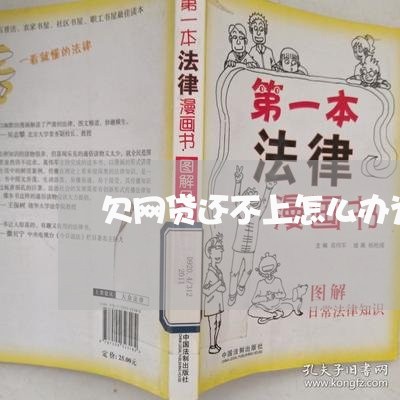 欠网贷还不上怎么办为法吗