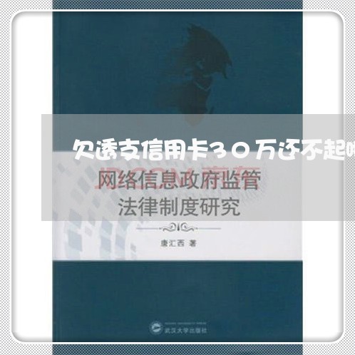 欠透支信用卡30万还不起啦 欠透支信用卡30万还不起啦