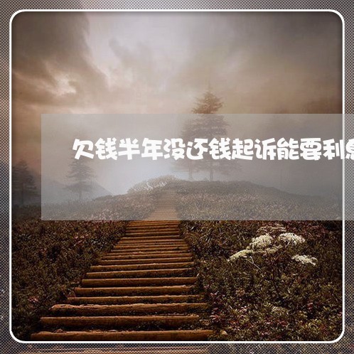 欠钱半年没还钱起诉能要利息吗