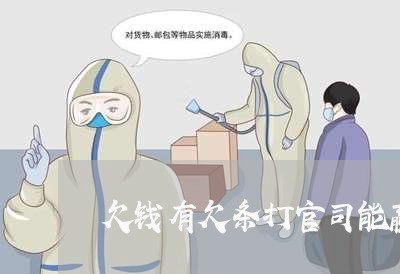 欠钱有欠条打官司能赢吗