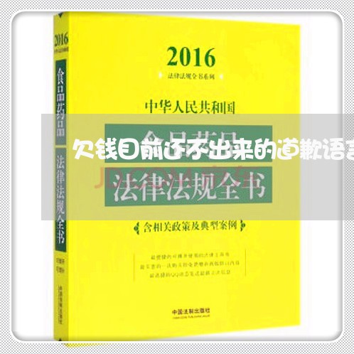 欠钱目前还不出来的道歉语言/2023061947714