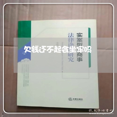 欠钱还不起会坐牢吗/2023012692826