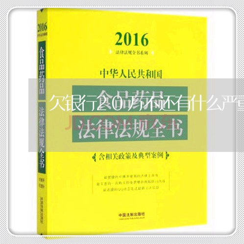 欠银行20万不还有什么严重后果/2023100915249