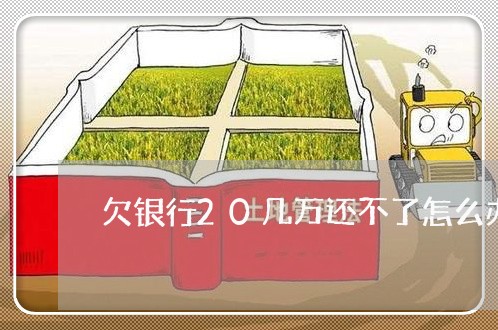 欠银行20几万还不了怎么办呢/2023030149460
