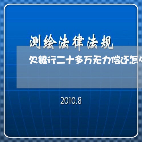 欠银行二十多万无力偿还怎么办/2023100787361