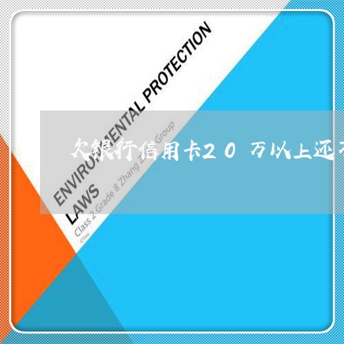 欠银行信用卡20万以上还不上 欠银行信用卡20万以上还不上