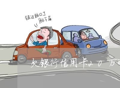 欠银行信用卡20万可以每月钱