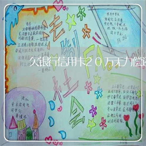 欠银行信用卡20万无力偿还