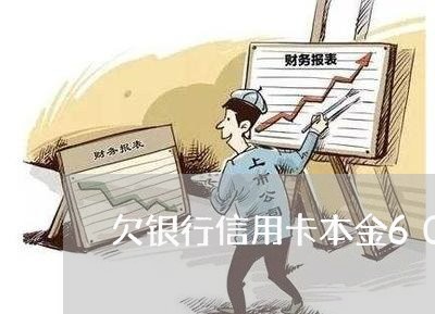 欠银行信用卡本金6000 欠银行信用卡本金6000