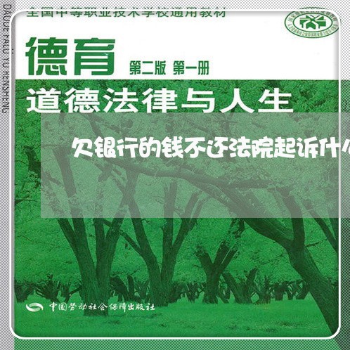 欠银行的钱不还法院起诉什么流程 欠银行的钱不还法院起诉什么流程