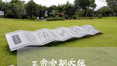 正常逾期次级