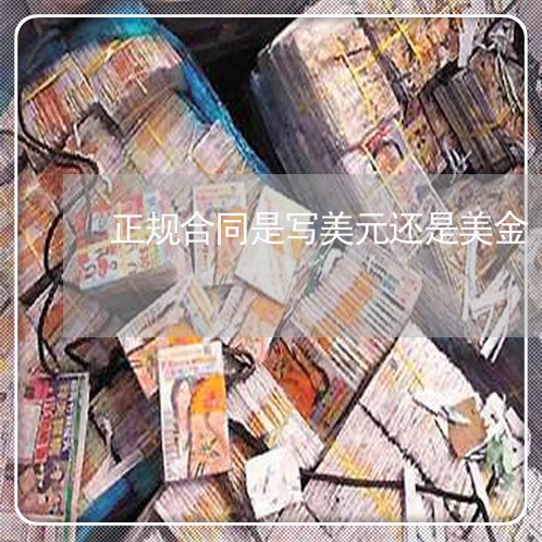 正规合同是写美元还是美金/2023022613027