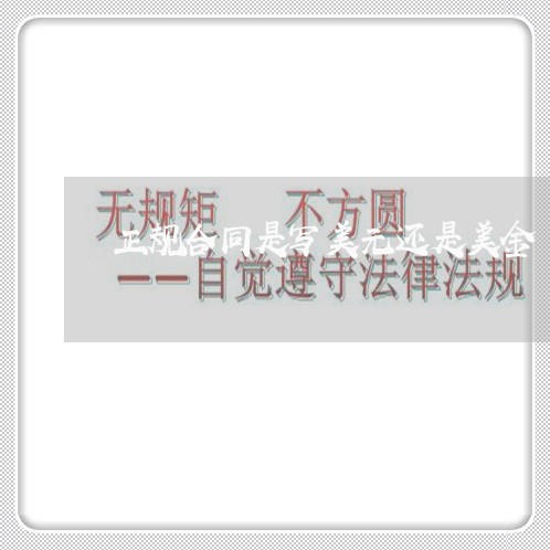 正规合同是写美元还是美金/2023040917493