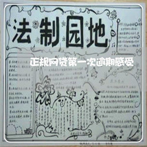 正规网贷第一次逾期感受