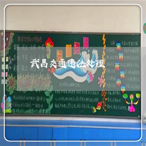 武昌交通违法处理 武昌交通违法处理