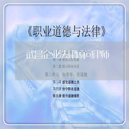 武昌企业法律顾问律师 武昌企业法律顾问律师
