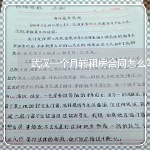 武汉一个月转租房合同怎么写/2023061649693