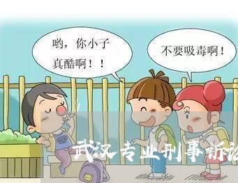 武汉专业刑事诉讼律师排行