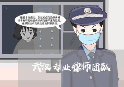 武汉专业律师团队