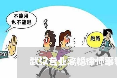 武汉专业离婚律师事务所排名