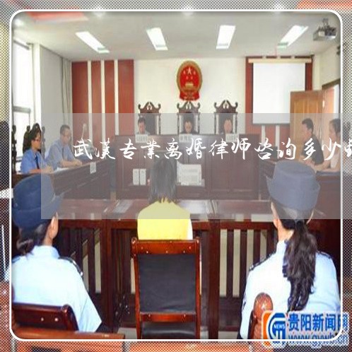 武汉专业离婚律师咨询多少钱