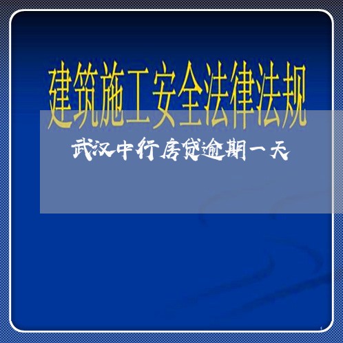 武汉中行房贷逾期一天/2023041516956