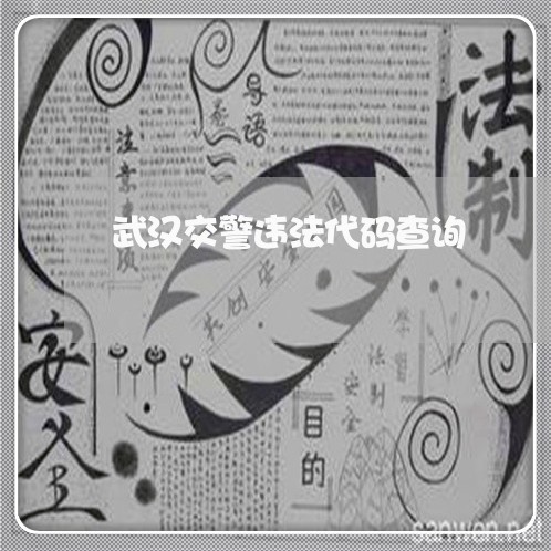 武汉交警违法代码查询 武汉交警违法代码查询