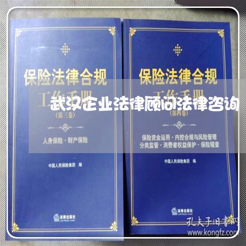 武汉企业法律顾问法律咨询/2023061838404 武汉企业法律顾问法律咨询/2023061838404