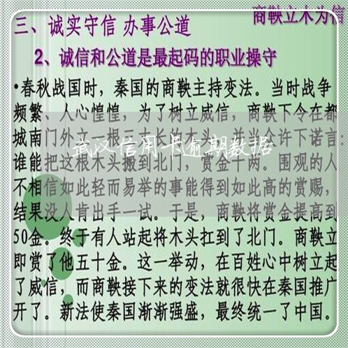 武汉信用卡逾期数据/2023020992805