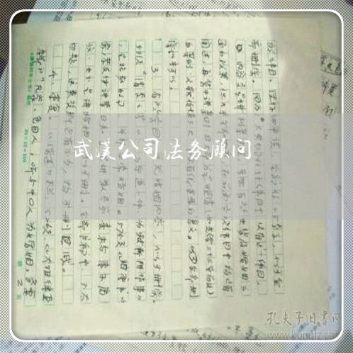 武汉公司法务顾问 武汉公司法务顾问