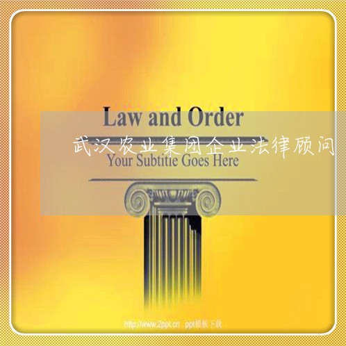 武汉农业集团企业法律顾问