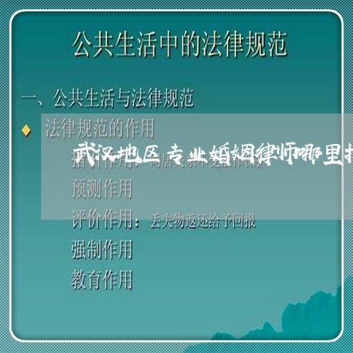 武汉地区专业婚姻律师哪里找