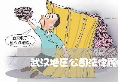 武汉地区公司法律顾问业务