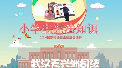 武汉天兴洲司法 武汉天兴洲司法