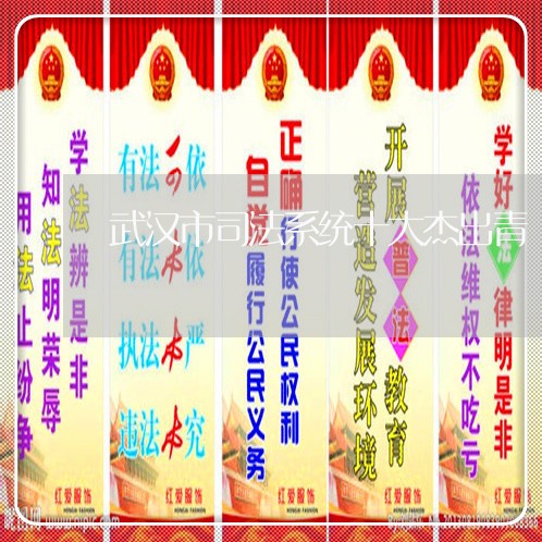武汉市司法系统十大杰出青