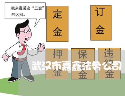 武汉市嘉鑫法务公司