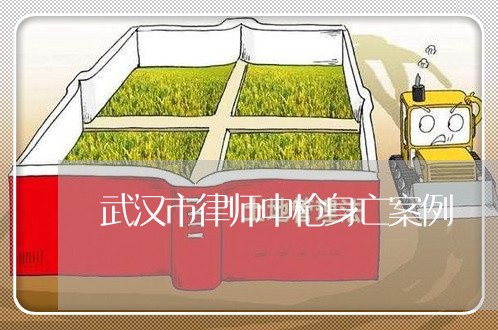 武汉市律师中枪身亡案例 武汉市律师中枪身亡案例