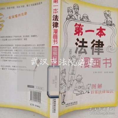 武汉市法院遴选 武汉市法院遴选