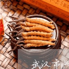 武汉市洪山区司法局招聘